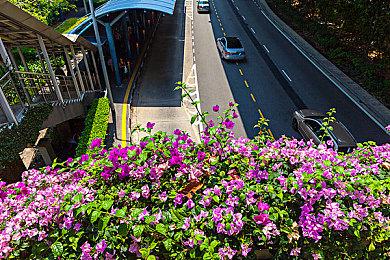 《鬼屋魔影：重制版》PS5版29.9G大小 3月18日开启预载